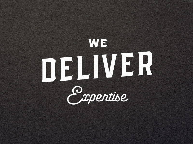 We Deliver Expertise